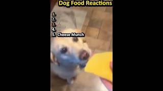 FUNNY DOG FOOD REACTIONS 😂🐶 #Shorts #Dogs #Funny #DogFood #Viral #Comedy