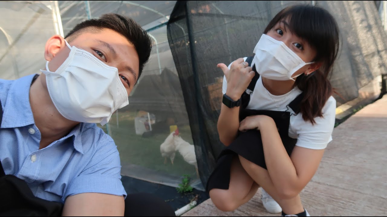 Visiting an Urban farm in Singapore! (Ft. City Sprouts)