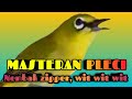 Masteran Pleci Nembak Zipper Dan Wit Wit Wit Mp3 - Mp4 Download
