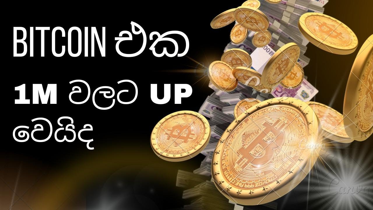 Will Bitcoin hit 1 Million USD now? - YouTube