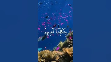 اليوم نختم على أفواههم وتكلمنا أيديهم وتشهد أرجلهم بما كانوا يكسبون سورة يس #قران_كريم #ضياء_الايمان