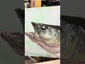 Replica mount walleye