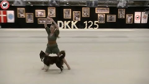 Nordic Championship 2022, HTM Gabi & Hikke, 5th place