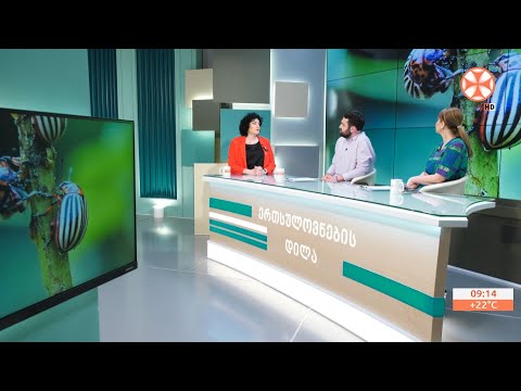 მწერების ნაკბენით გამოწვეული ალერგიული რეაქციები