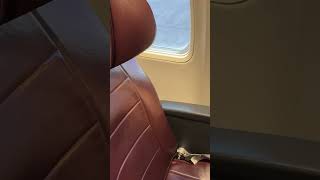 Qantas Domestic Boeing 737 Business Cl