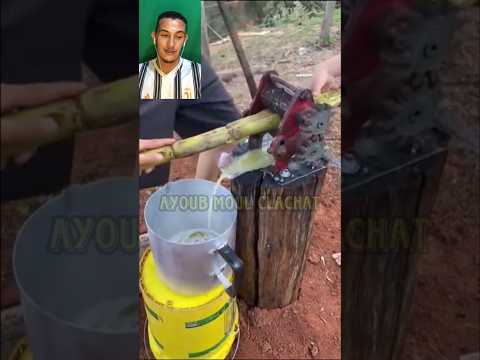 عصير قصب السكر