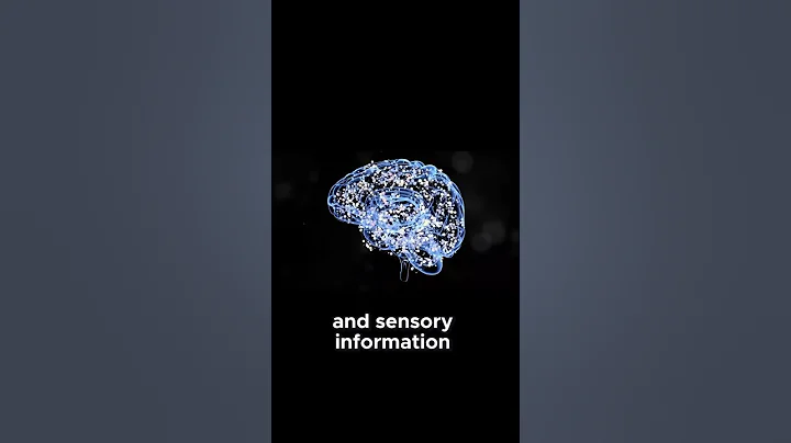 Your Brain is a Prediction Machine!