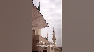 سورة آل عمران {الآية 147} بصوت الشيخ ماهر المعيقلي ❤️💖