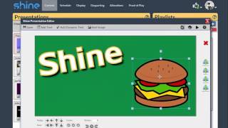 Shine Program Overview screenshot 1