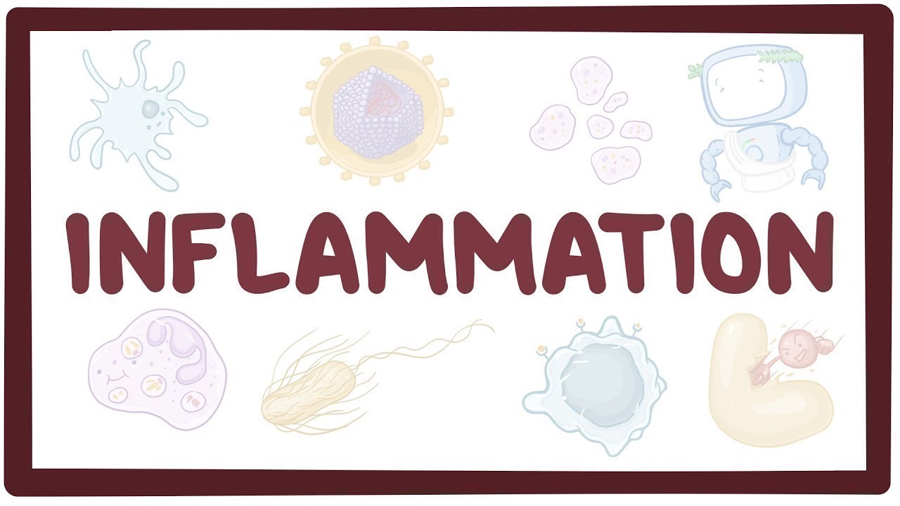 #inflamation   #pathalogy #mbbs