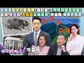 台北市府政治爭議