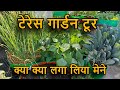 टेरेस गार्डन टूर! क्या-क्या लगा लिया मेने मेरे छत पर बने गार्डन में | Garden Tour With Update