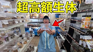 関東最大級の昆虫ショップが夏に向けて本気を出してきました