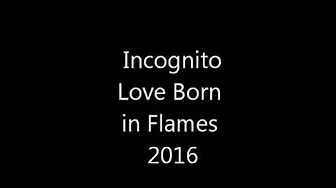 Incognito- Love Born in Flames 2016 album Incognito- Love Born in Flames 2016 album