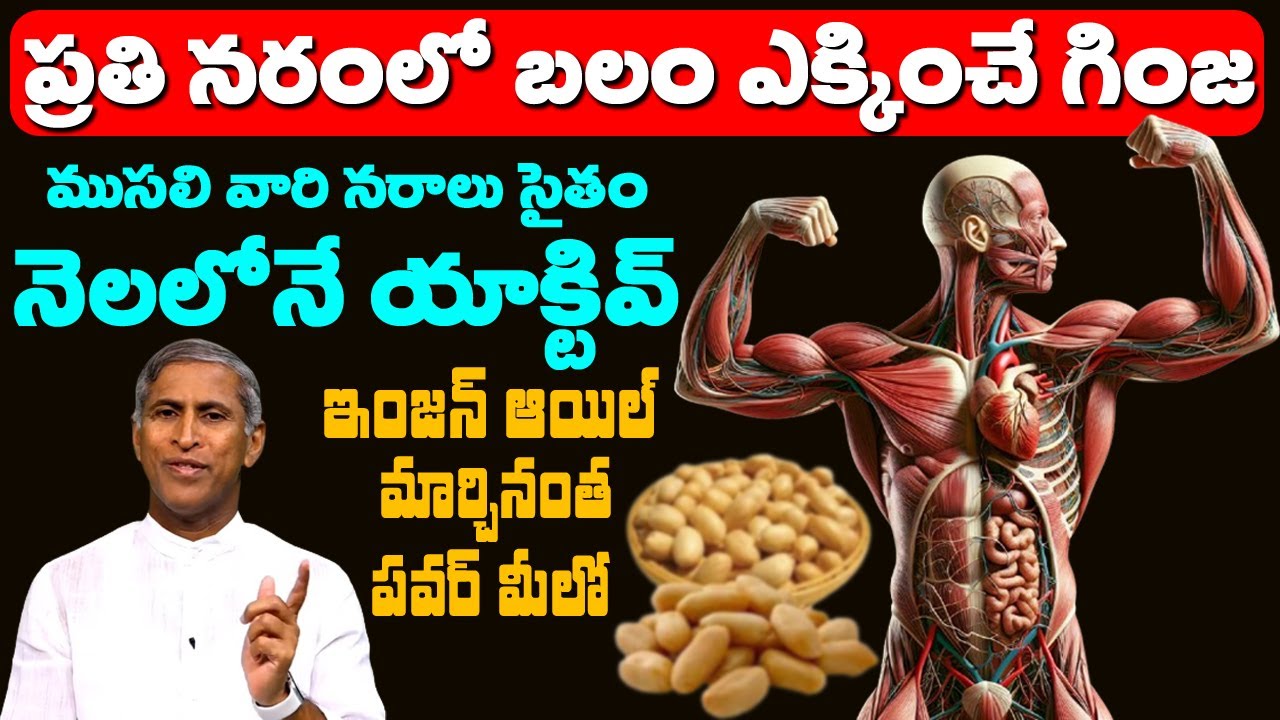 Nerve 🤩ప్రతి నరంలోకి వెళ్లి తుప్పు క్లీన్ చేసి మరీ యాక్టివ్ చేస్తుంది Dr Manthena Satyanarayana Raju