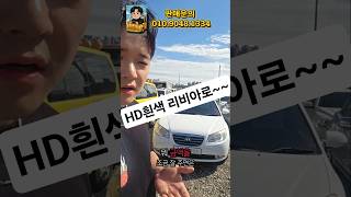 중고차수출  아반테HD 리비아로~~ #중고차 #automobile #올드카복원 #고양이 #수입차프로모션 #유튜버 #초보운전 #길고양이 #중고나라 #중고차수출