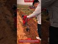 Plowing the Field | Workers Preparing the Land for Planting #farming #farmer