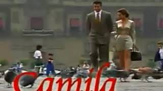 Cortinilla de Camila