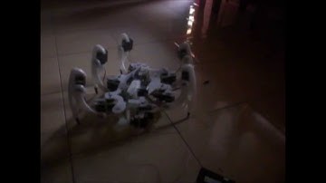 first walking hexapod