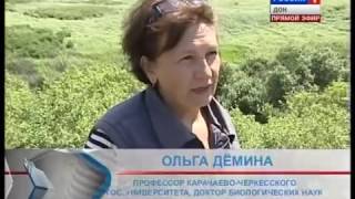 О развитии туризма в Ростовской области