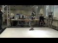 Development of Humanoid Robot LOLA