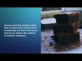 High Potency Cannabis Products