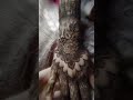 👆🏻