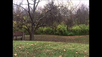 Team associated RC8.2E big air