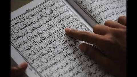 القارئ ناصر القطامي سورة فاطر