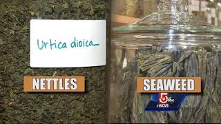 Moringa: The next superfood?