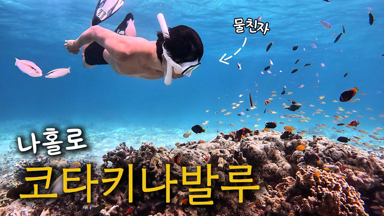 나 혼자만 한국인인 호핑투어에서 살아남기 | 나홀로 코타키나발루 (1화)