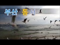 댄스팀 비스타1 DanceTeam Vista 직캠 2019기장미역다시마축제 댄스팀 비스타1 DanceTeam Vista 직캠 2019기장미역다시마축제