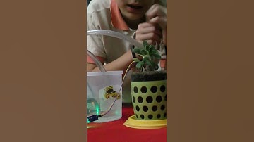 Sistema de riego automatizado con Arduino   #ciencia  #tutorial   #arduinouno #riegoautomatico