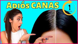 ❤CUBRE tus CANAS rápido y FÁCIL!!