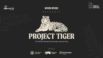 Project Tiger Trailer A Stunning Documentary on the Conservation of India’s Majestic Tigers