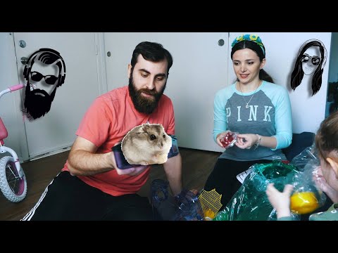 VLOG - ოჯახის ახალი წევრი