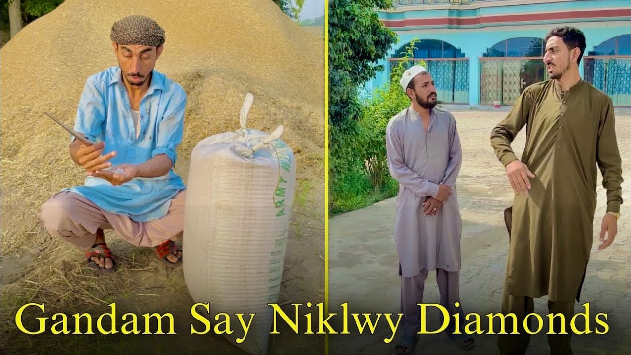 Gandam Say Niklwy Diamonds💎 Ameer Dost Bananay Ka Anjam