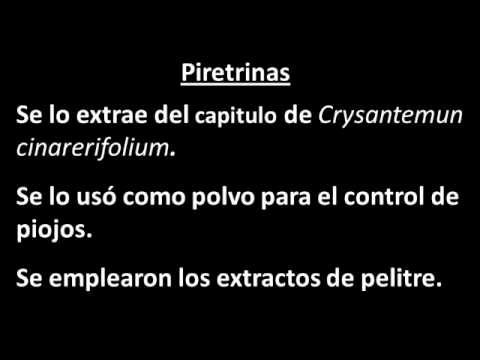 Vídeo: Piretroides Artificials. Part 1