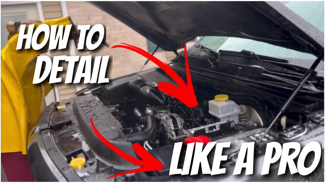 How To Clean Engine Bay How To Clean An Engine Bay Like A Pro | Short, Sweet & To The Point ...