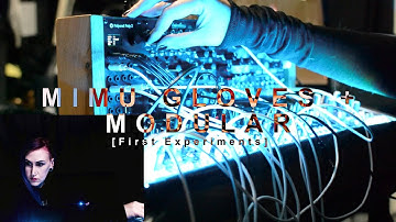 MIMU Gloves + Modular (Queen of Pentacles)