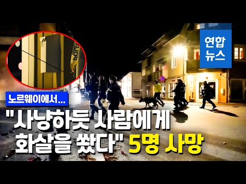7명 사상 &amp;#39;화살 난사&amp;#39;에 노르웨이 충격  / 연합뉴스 (Yonhapnews)