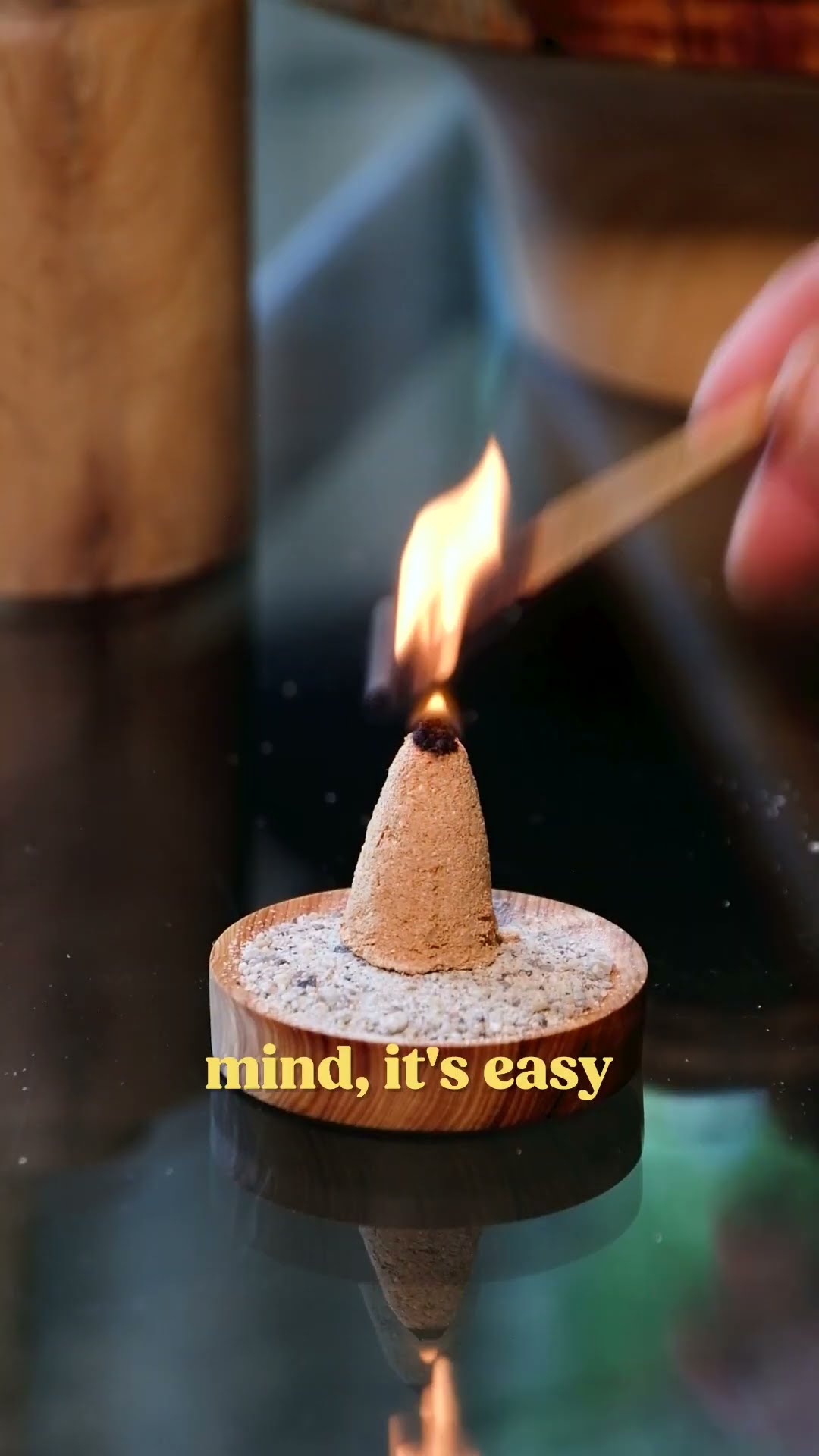 Making Incense for the World's Oldest and Tallest Rocky Mountain Juniper Tree #trees #nature
