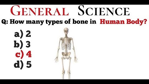 |Everyday Science| |General Science MCQs| #nts #sts #science #gk #mpt #iba #siba