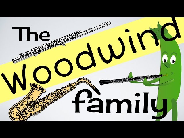 Woodwind Instruments for kids (INSTs 3) | Flute | Clarinet | Sax & more | Green Bean's Music class=