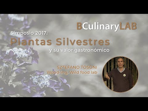 BCulinaryLAB Simposio 2017: Stefano Tosoni Wood ing  Wild food lab