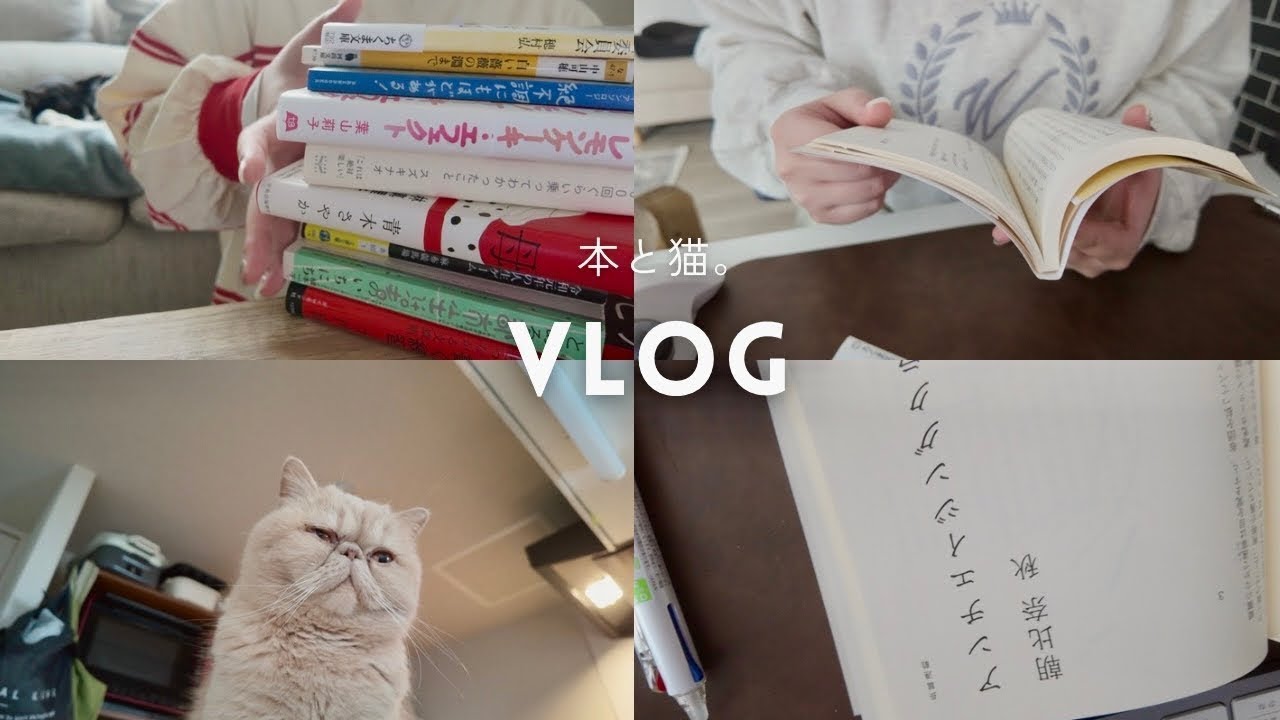 読書Vlog|最近読んだ本と買った本📚(時差投稿)🙇♀️