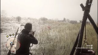 Red Dead Online Whoops..