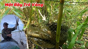 Đặc Thử Cái Lờ Mồi Lúa Kiếm Cá Rô không Ngờ Dính Thứ Nầy / Định Nguyễn Hậu Giang