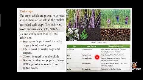 Class 4/ ICSE/ Social Studies/ lesson 8 part 1/ Session 17