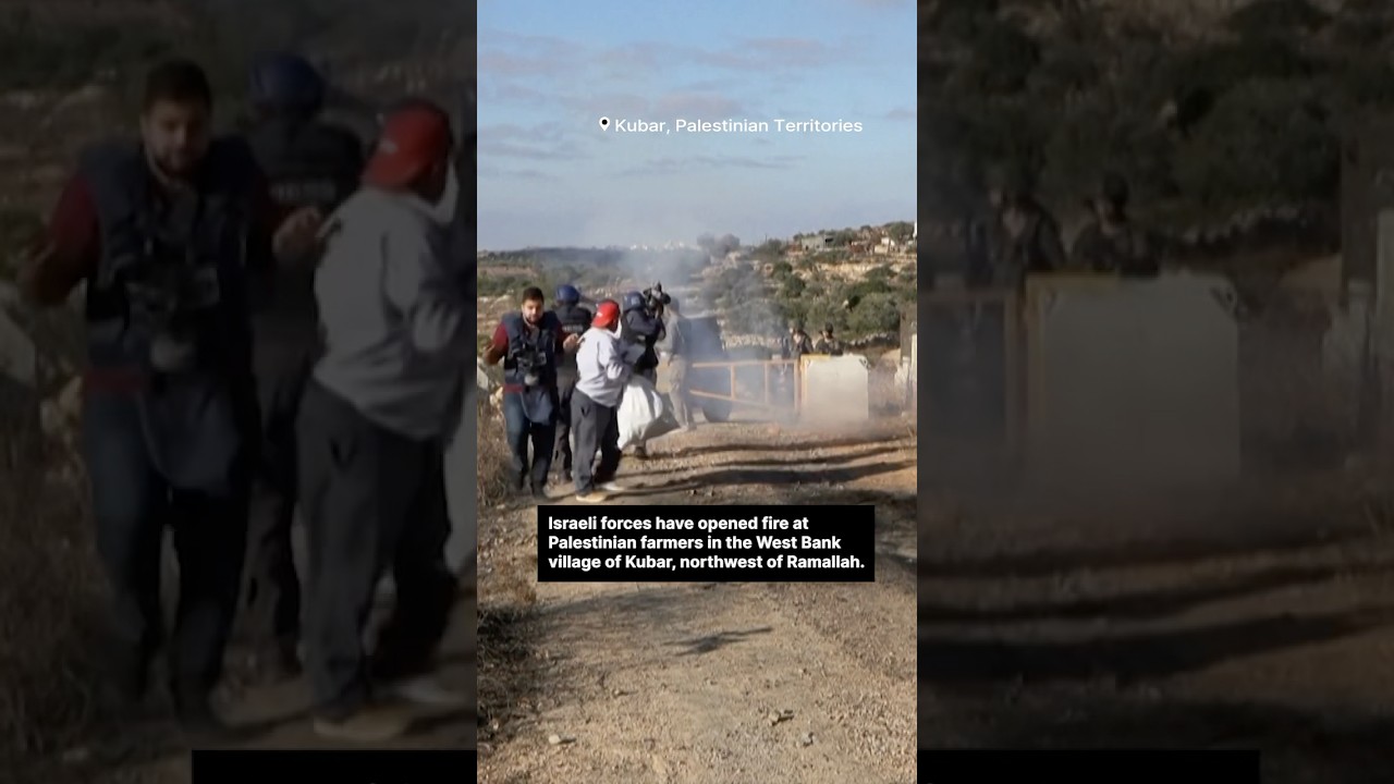 🌿🚫 Israeli Forces Block Farmers During Olive Harvest